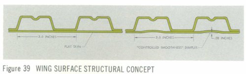 wing surface structure.JPG