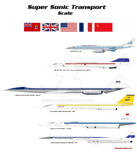 SST SCALE.jpg
