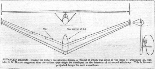 tailless sailplane.JPG