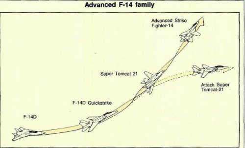 Advanced F-14.JPG