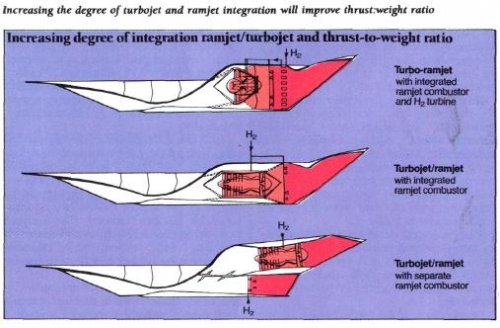 Sanger (2).JPG