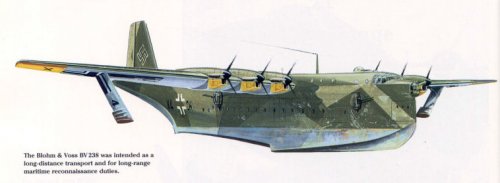 bv238.jpg