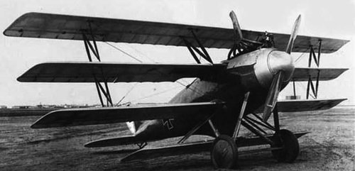 Naglo_D.II_WW1_aircraft.jpg