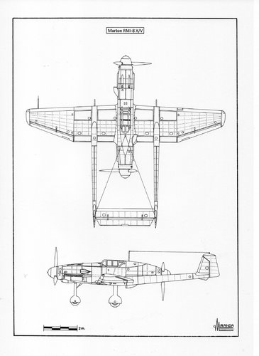 531.jpg