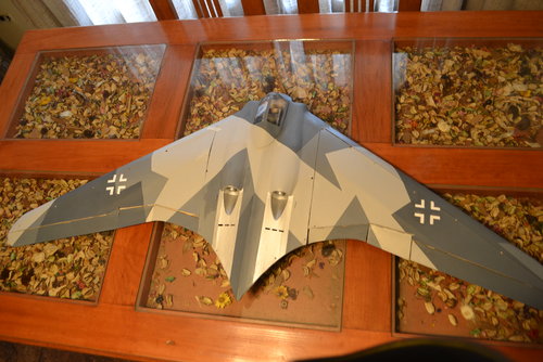 Horten 229 Rc New Here Anyone Had Fly This One Before Secret Projects Forum