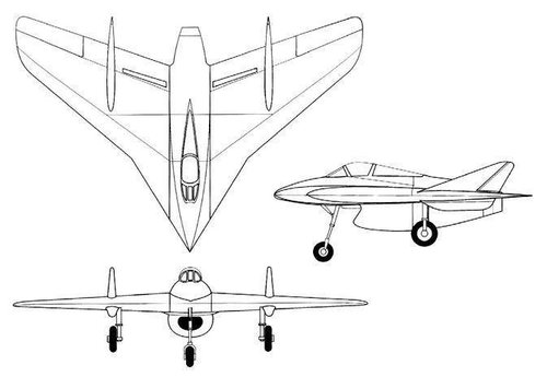 Caza Horten Alas de Peron 3.jpg