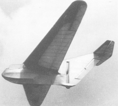 Rhein-West-Flug Fischer Fibo-2.jpg