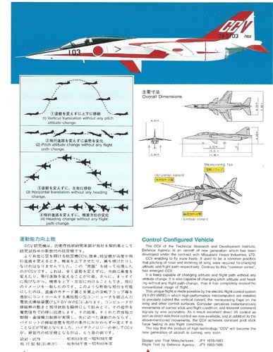 T2 CCV a.jpg