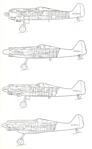 fw 190-2.jpg