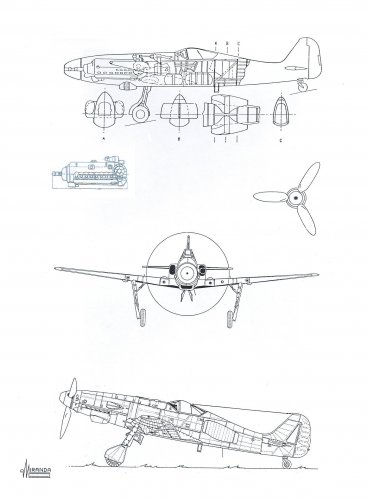 Fw 6091.jpg