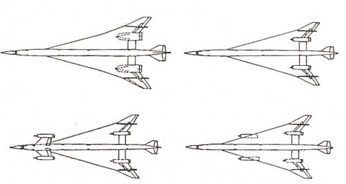 NASA MODIFIED ARROW.jpg