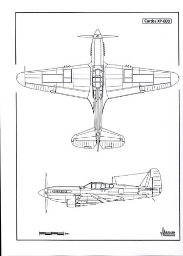 215.jpg