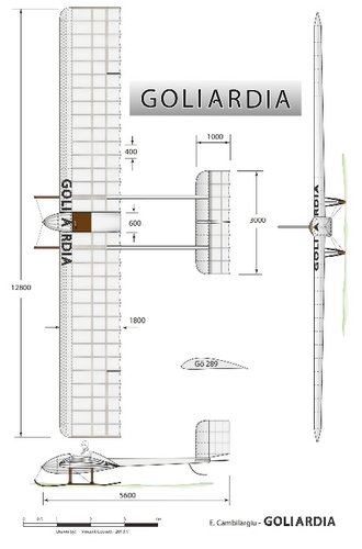 Cambilargiu Goliardia 3v.jpg