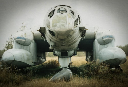 Beriev VVA-14 141 MP.jpg