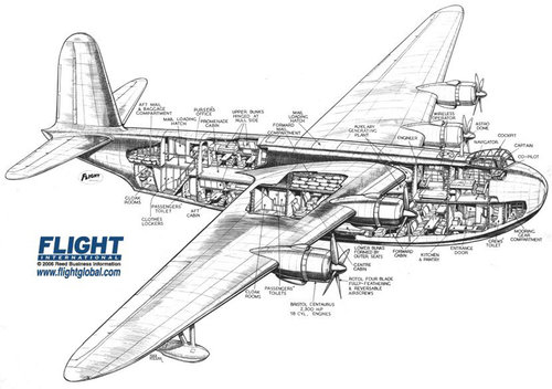 Short Shetland Cutaway.jpg