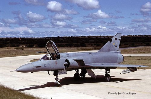cheetah-1.jpg