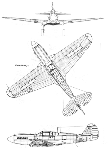 p40q-1.gif