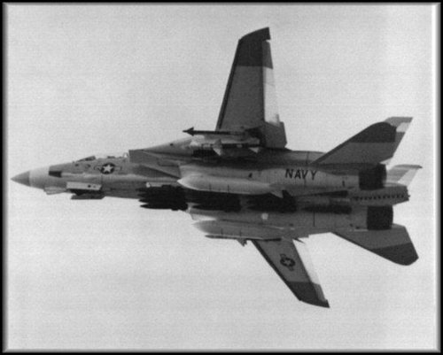 F-14A prototype 14mk82 Mike Kern.jpg