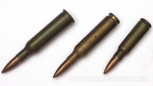 Shevchenko cartridges 2.jpg