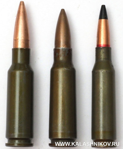 Shevchenko cartridges.jpg