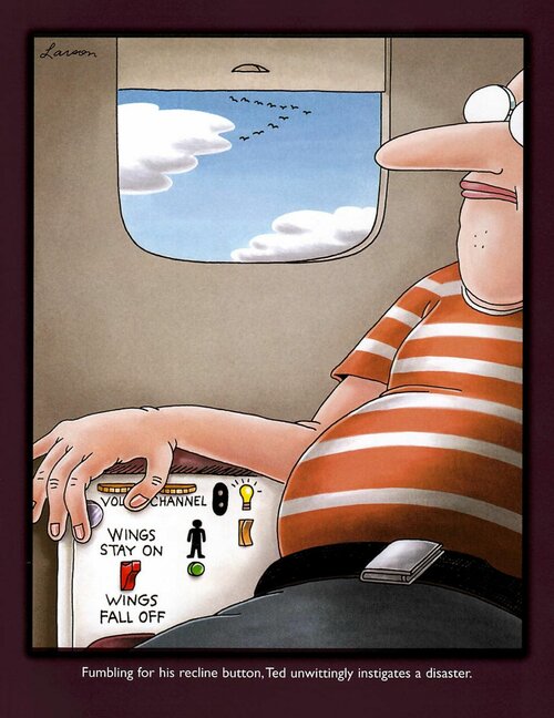 The Far Side-Passenger Controls.jpg