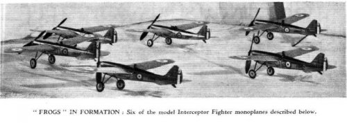 Frog IV 1.JPG