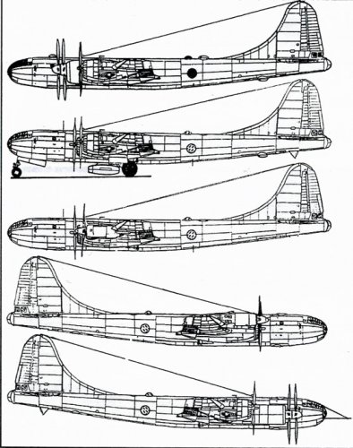 Tu-4 test-bed's.jpg