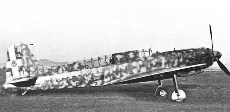 Caproni 336 DD.jpg