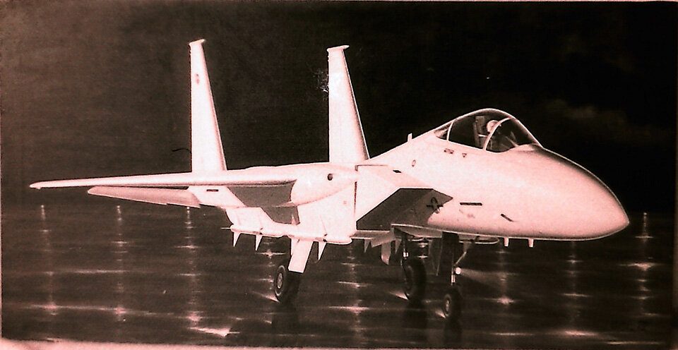 F-15 130 cm width.JPG