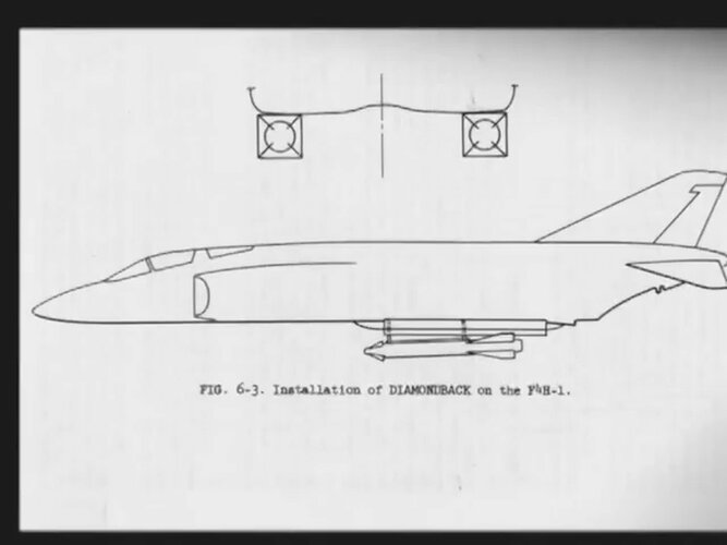 Diamondback19.jpg