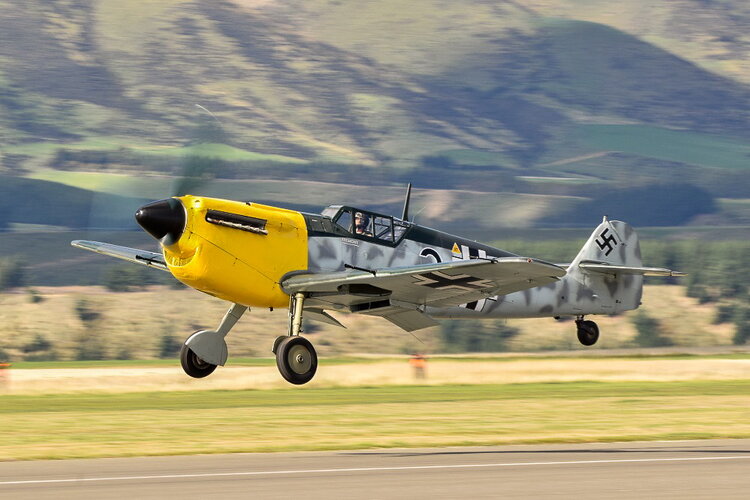 Buchon.jpg