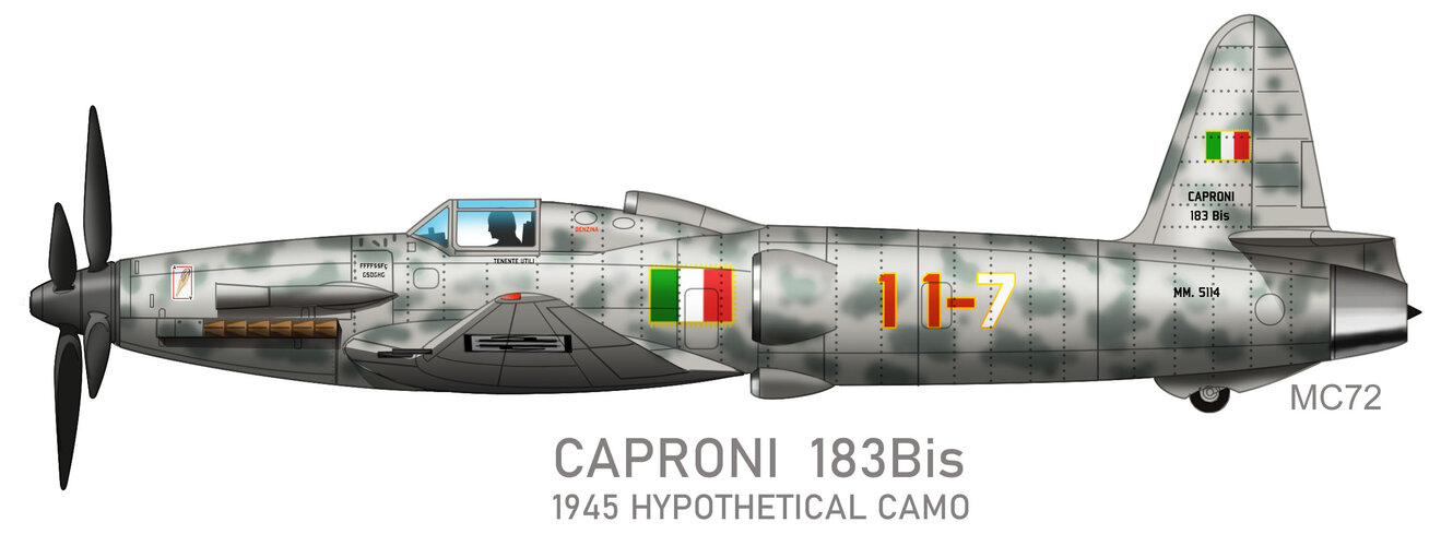 Caproni Ca.183bis | Page 2 | Secret Projects Forum