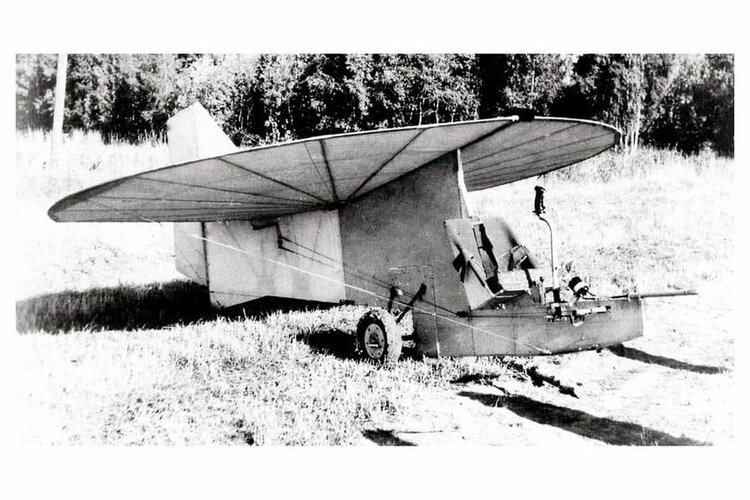 soviet gliders (1).jpg