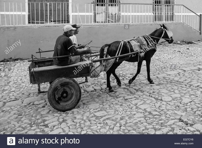 un-caballo-y-carro-con-dos-hombres-a-bordo-de-ir-por-una-calle-empedrada-trinidad-cuba-eg7cy6.jpg