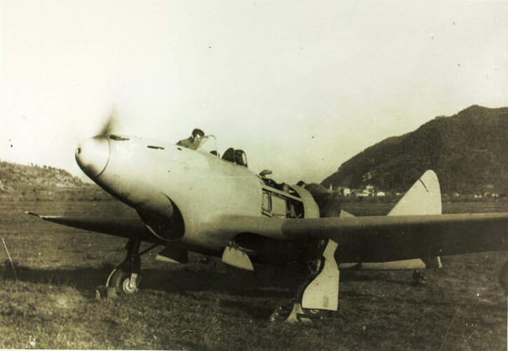 Piaggio_P_119_fighter_prototype.jpg