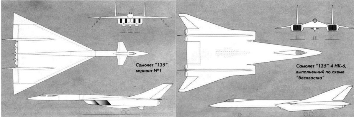 135version A and flyig wing form.jpg