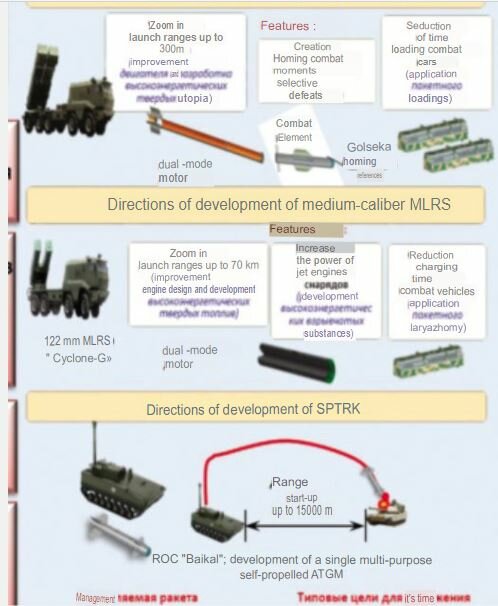 mrls zoom en.JPG