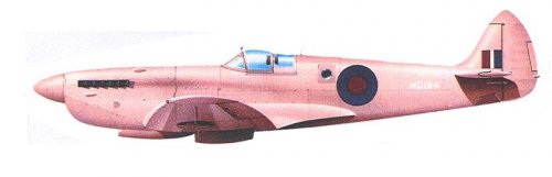 Escanear0007.jpg