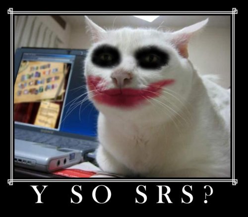 Serious-Cat-Joker.jpg