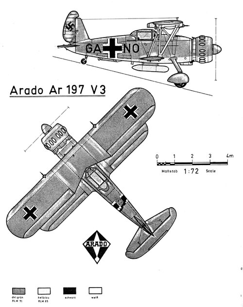 334.jpg