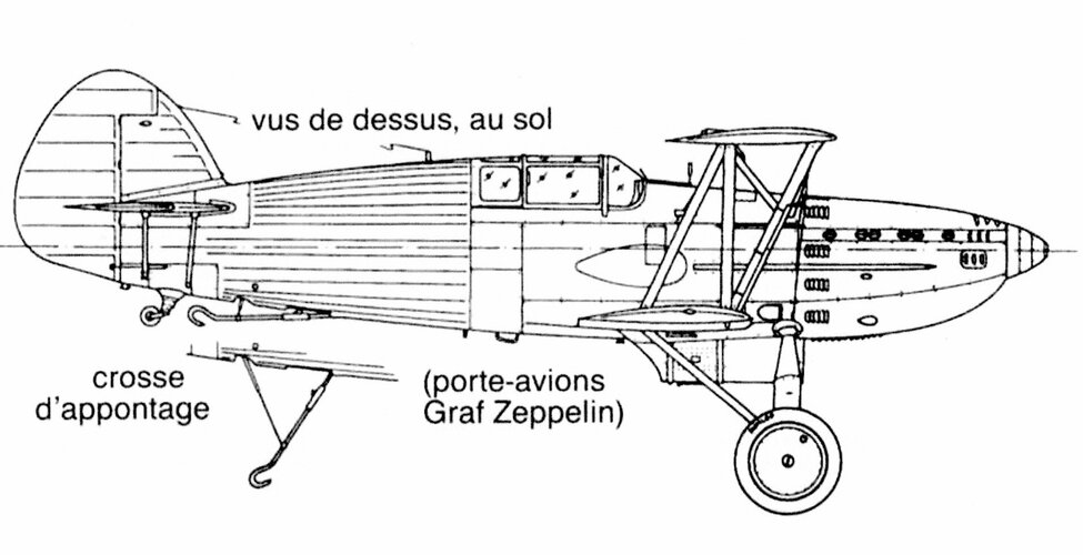 345.jpg