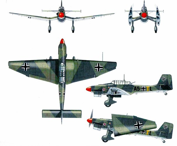 353.jpg