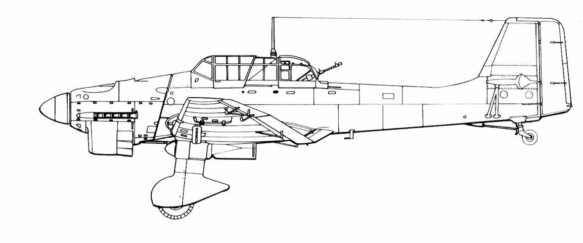374.jpg