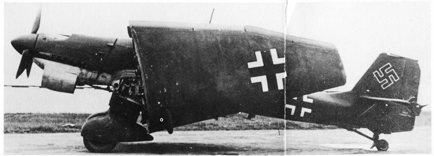 377.jpg