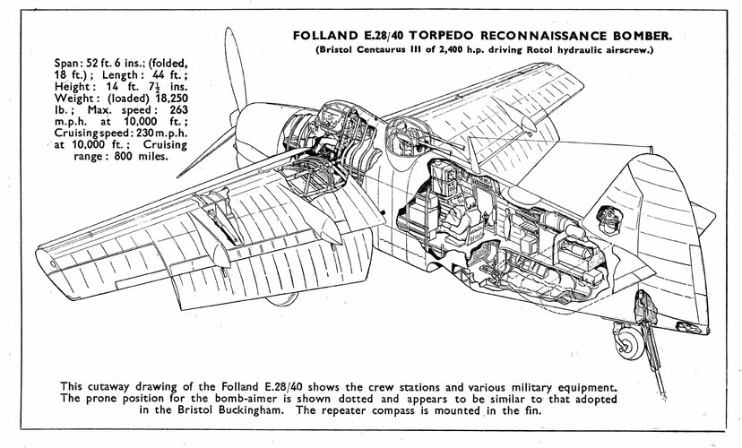 Fo116.jpg