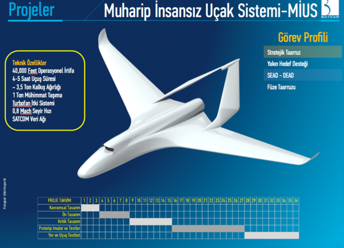 BayKar-AUAV-01-768x554.png