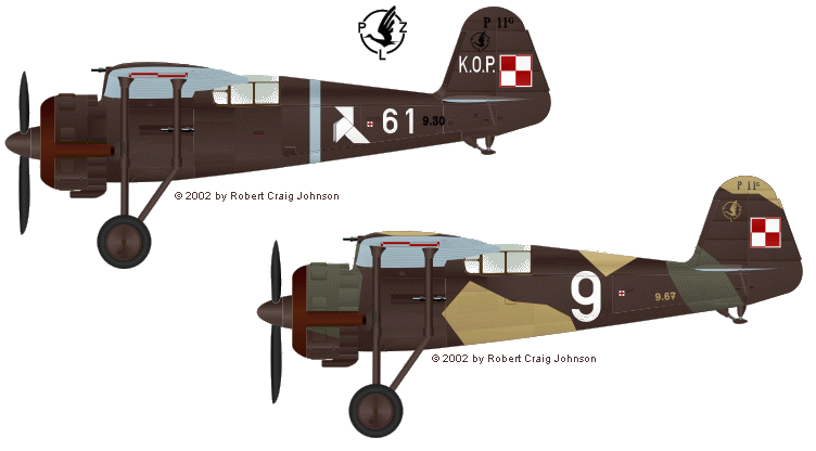 p11g-2.gif