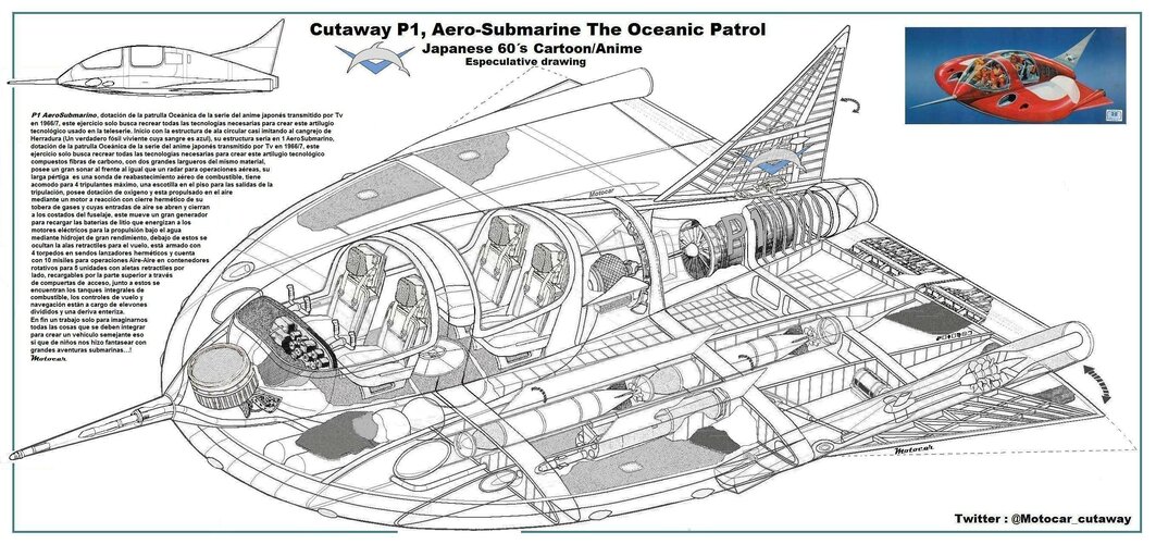 Cutaway P1 Marino Boy.jpg