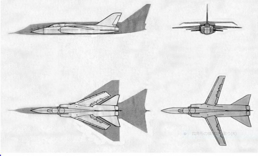 TSR2 AND AFVG SAME SCALE.JPG