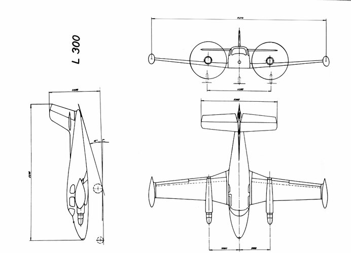 Let L-300D_.jpg